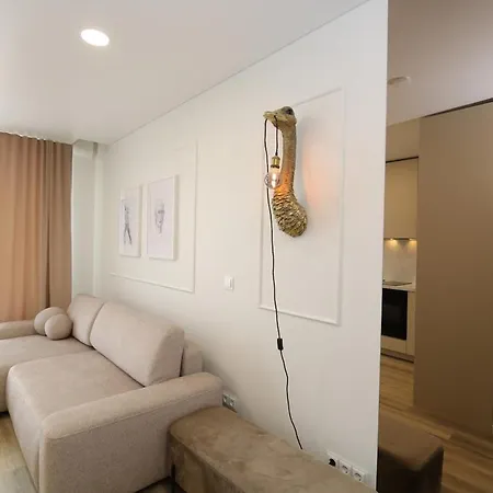 Flat For 2 Or 1 With Free Parking And Fast Wi-fi Vilnius