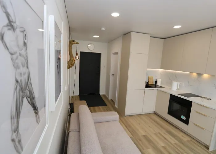 Flat For 2 Or 1 With Free Parking And Fast Wi-fi アパート