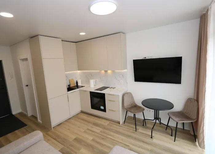 アパート Flat For 2 Or 1 With Free Parking And Fast Wi-fi ヴィリニュス