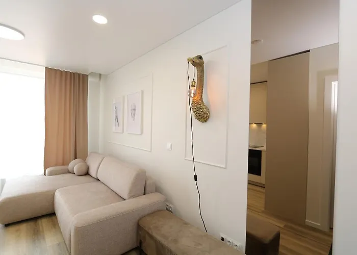 Flat For 2 Or 1 With Free Parking And Fast Wi-fi Vilnius