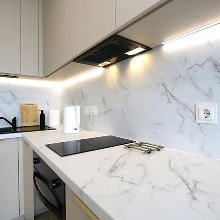 Flat For 2 Or 1 With Free Parking And Fast Wi-fi ヴィリニュス