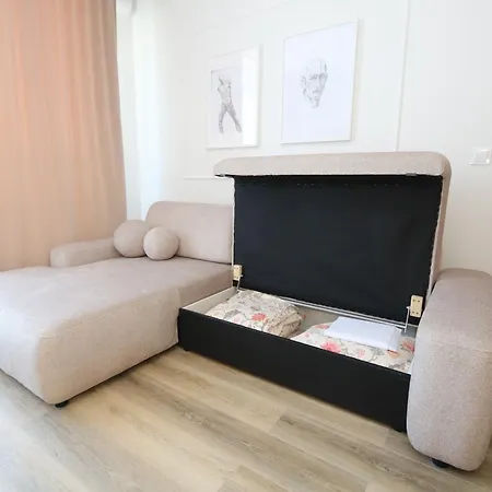 アパート Flat For 2 Or 1 With Free Parking And Fast Wi-fi ヴィリニュス