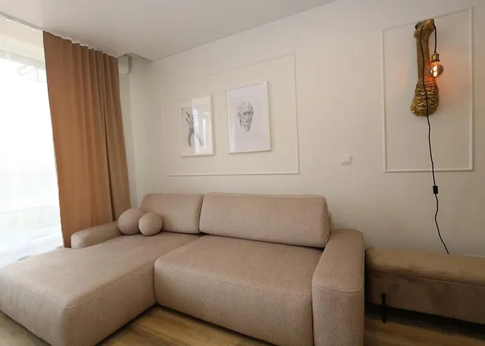 公寓 Flat For 2 Or 1 With Free Parking And Fast Wi-fi 维尔纽斯