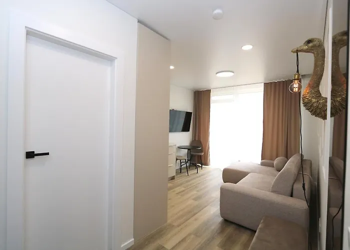 Flat For 2 Or 1 With Free Parking And Fast Wi-fi * 维尔纽斯